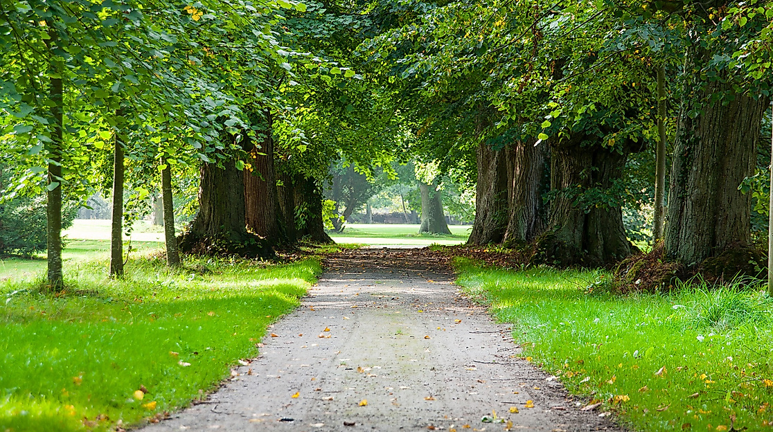 avenue-4964960_1920