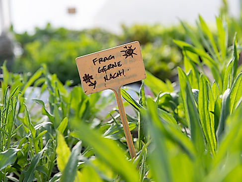 Pflanzen-Markt mit Beratung