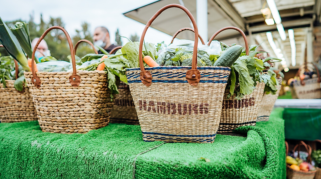 Hamburger Fischmarkt 7-Mediaserver Hamburg-Mediaserver Hamburg - Lisa Knauer