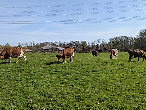 25-09-12 Führung Tierhaltung Hofgut Wulfsdorf