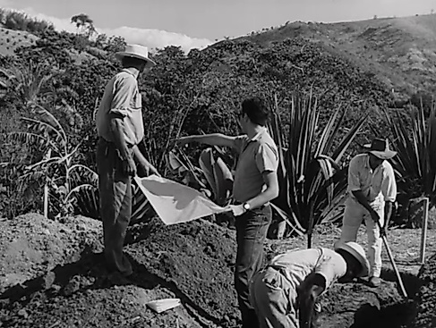 Filipe Lippe, »Ossos do Ofício« (Berufsrisiko), 2026, Essayfilm (Still)