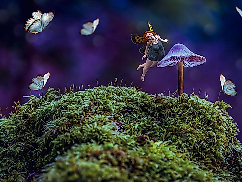 Bild von Pete Linforth auf Pixabay