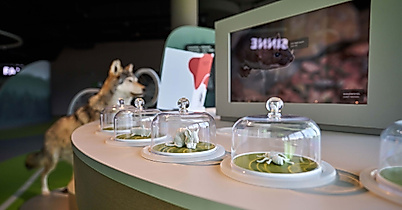 poi-botschaftderwildtiere_deutsch-wildtier-stiftung_christian_brandes-00691--2500x1500