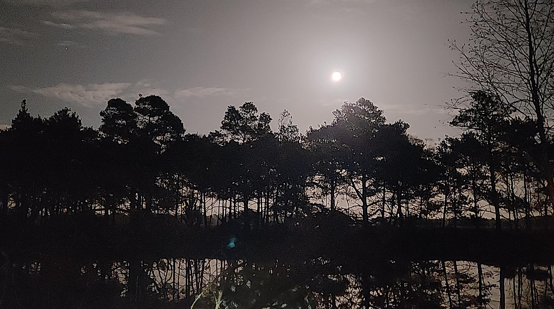 Vollmondwanderung im Pietzmoor