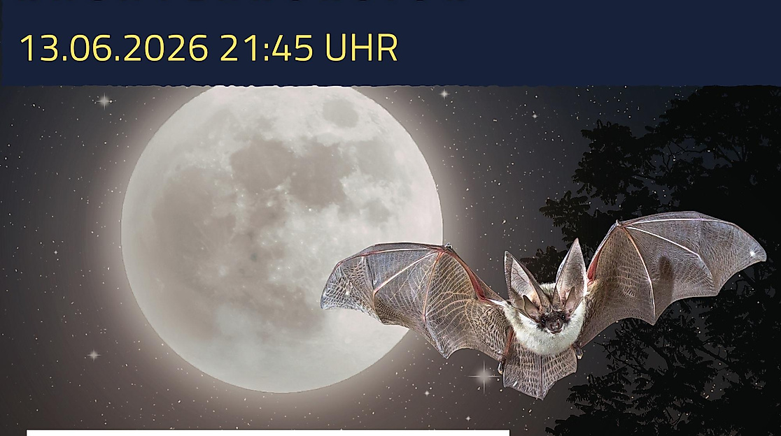 Nachtwanderung