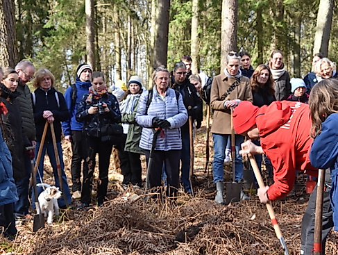 Vor der Pflanzung wird es eine Einführung geben!