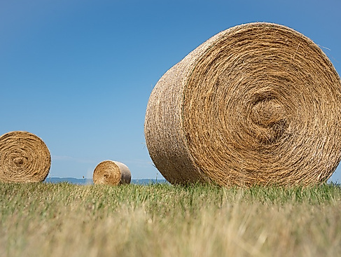 Spiel und Spaß in Sommerhusen
