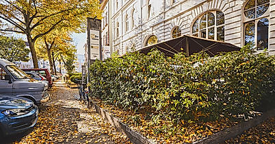 mazza_c-2018-thisisjulia-photography-9