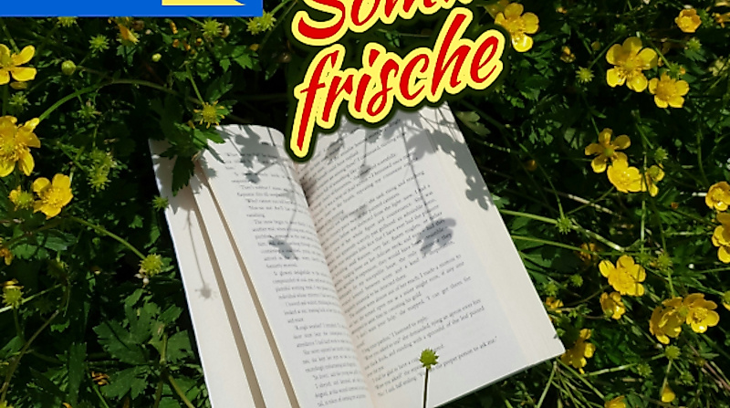 Theater auf Sommerfrische - Premiere