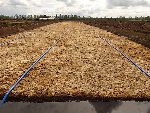 Führung zu den NABU-Klimafonds Renaturierungsflächen
