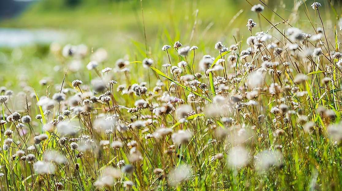 Naturrallye an der Naturschutzstation Dummersdorfer Ufer