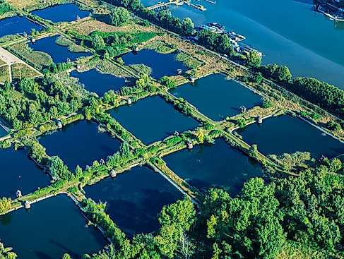 Hamburg_Kaltehofe_Elbinsel_ELS_klein