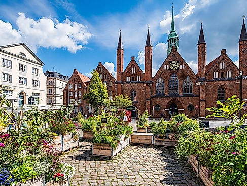 Aktionstag " Feigen in Norddeutschland"