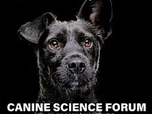 Canine Science Forum 2025 - Gleishalle Oberhafen