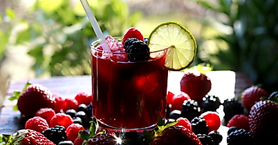 the-vegan-eagle_c-hannah-elser-1