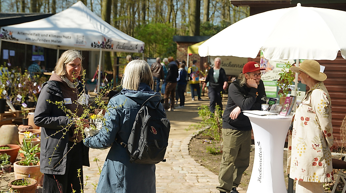 Beim Heckenkieken kann die Vielfalt heimischer Sträucher entdeckt werden.