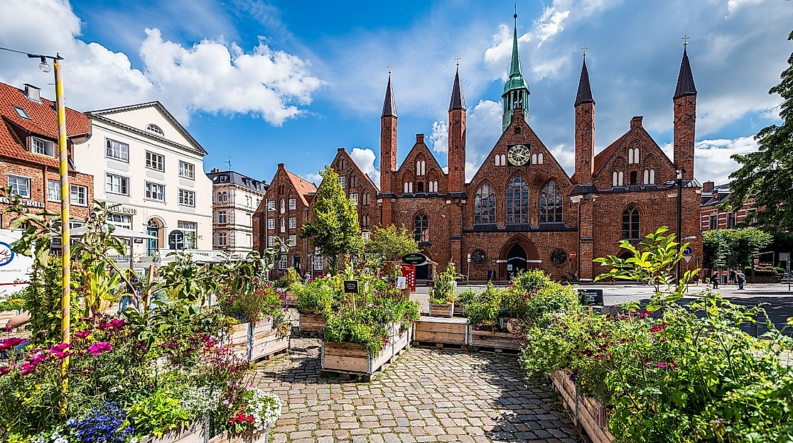 Aktionstag " Feigen in Norddeutschland"