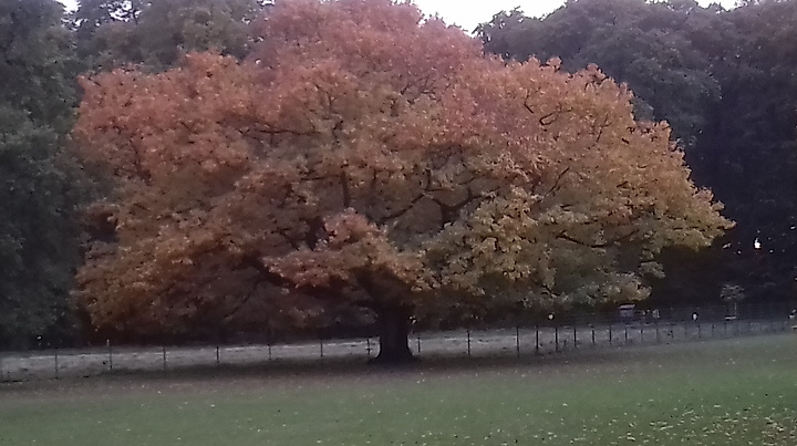 Am Reformationstag nach Wittenberg