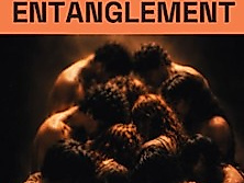 Entanglement