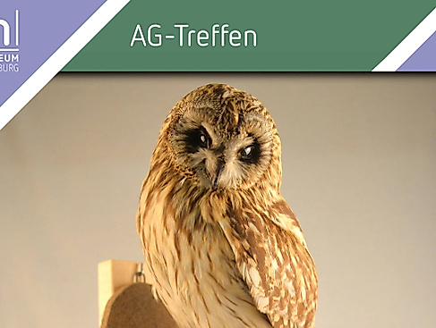 Treffen der Eulenschutz-AG im Museum Lüneburg