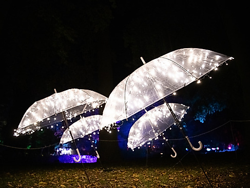 Lichtermeer