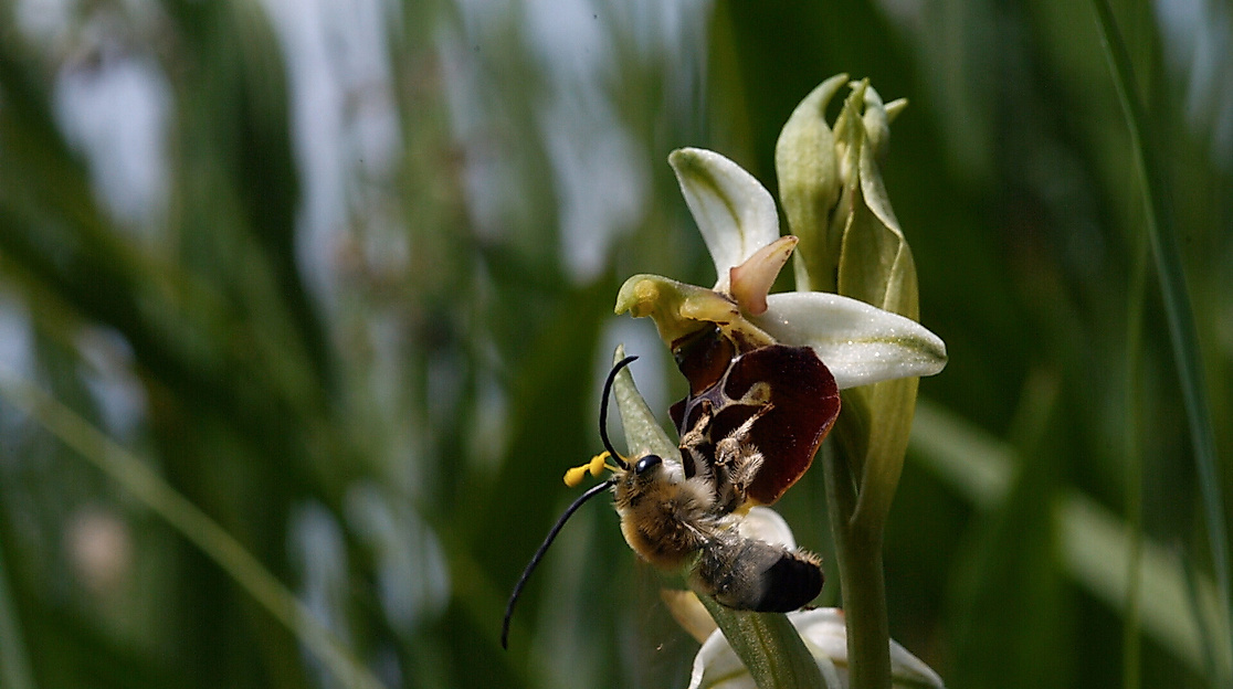 Gute Nachrichten vom Planeten