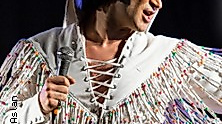 ELVIS meets Dinner