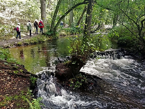 Langer Tag der StadtNatur - "Alles fließt" oder auch "Auf den Spuren der Eiszeiten"
