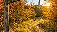 Waldweg