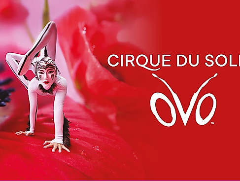Cirque du Soleil