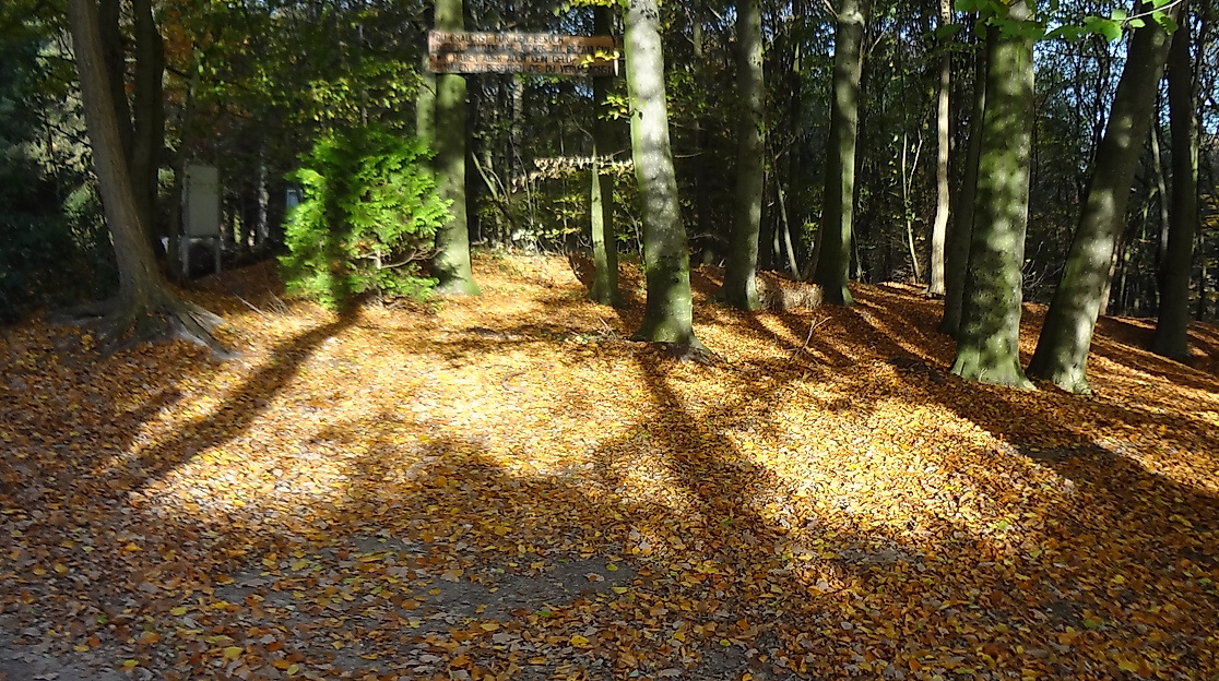Waldbaden