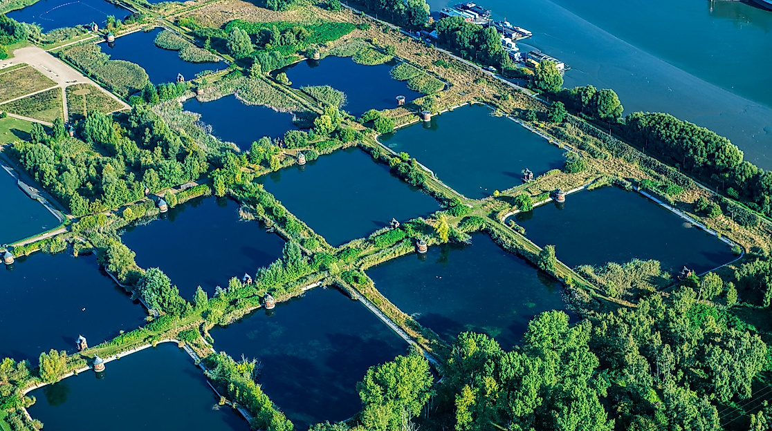 Hamburg_Kaltehofe_Elbinsel_ELS_klein