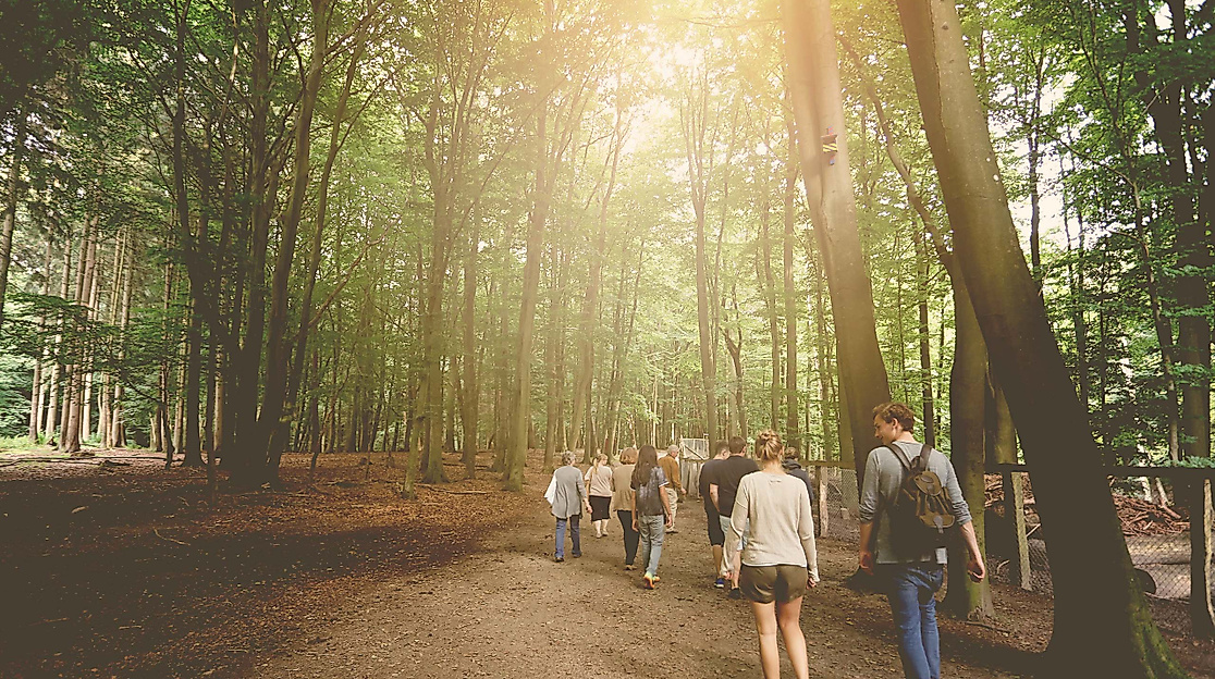 Wildparkführung mit Abendfütterung