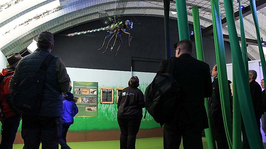 Die Welt der Insekten