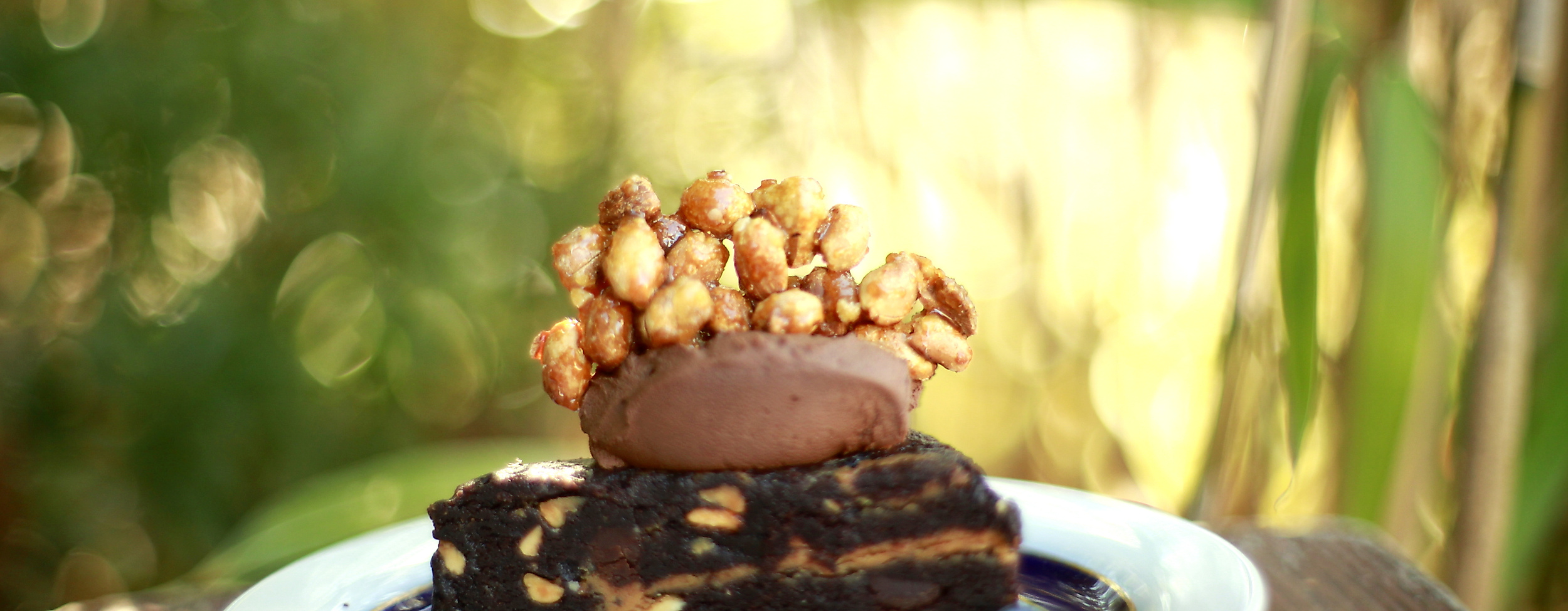 the-vegan-eagle_c-hannah-elser-3