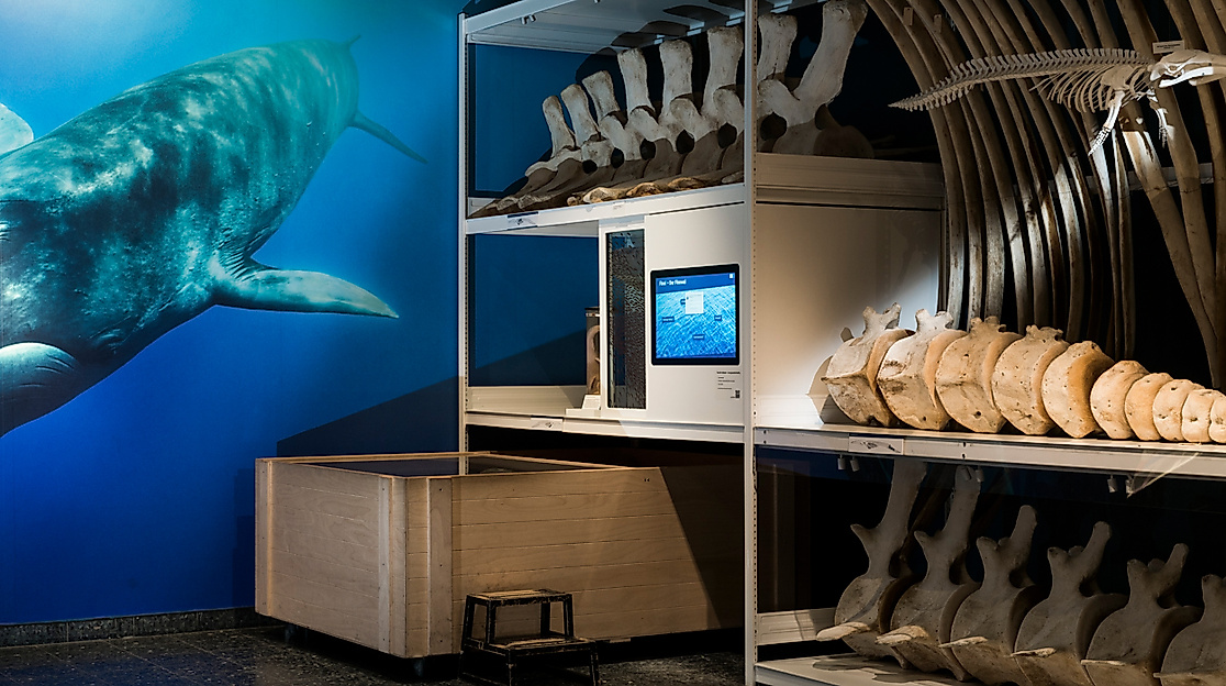 Museum der Natur Hamburg - Zoologie