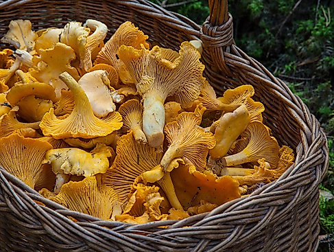 Bild von Barbroforsberg auf Pixabay