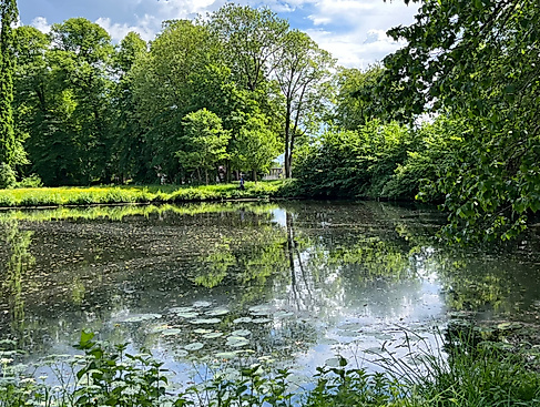 Teich in Glückstadt