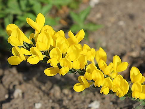 Frühstück für Alle