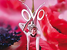 Cirque du Soleil - OVO