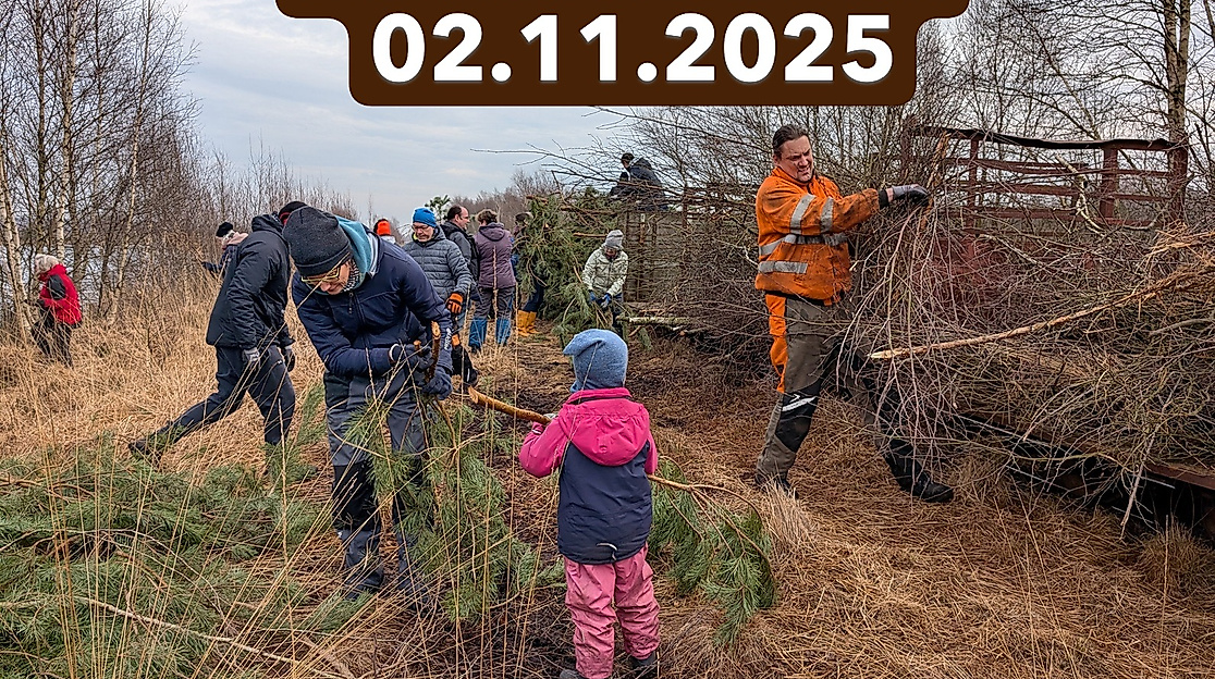 Mit der Torfbahn ins Moor