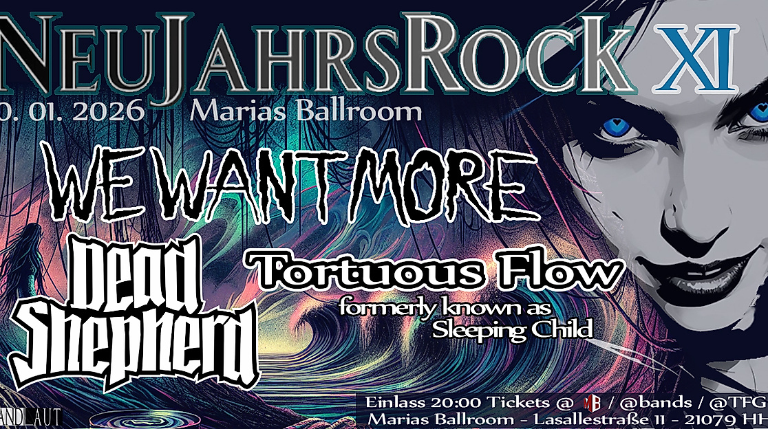 Neujahrsrock XI 260110 FB Fin