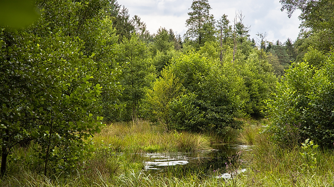 Herrliche Natur