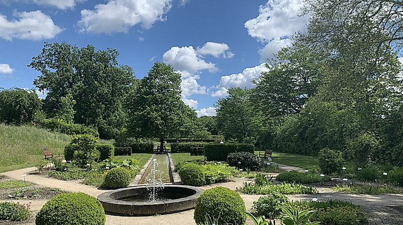 Öffentliche Führung im Heilpflanzengarten - Öffentliche Führung im Heilpflanzengarten