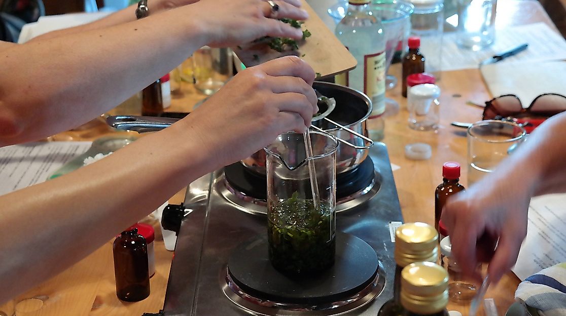 Heilkräuterexpedition mit Workshop