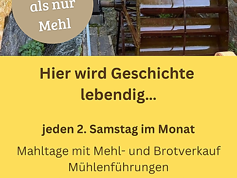 Hier wird Geschichte lebendig…