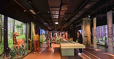 Ausstellung Botschaft der Wildtiere