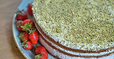 The Special Connection