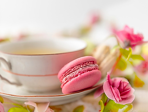 Pixabay_MirkaObornikova_macaroons-7277955_960_720