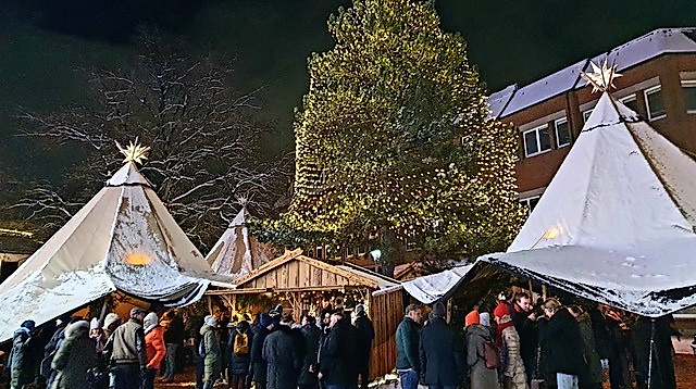 große Tanne mit Tippis